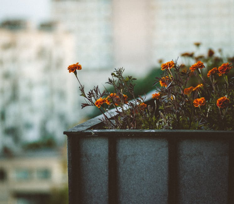 ideas para organizar un jardín pequeño en casa