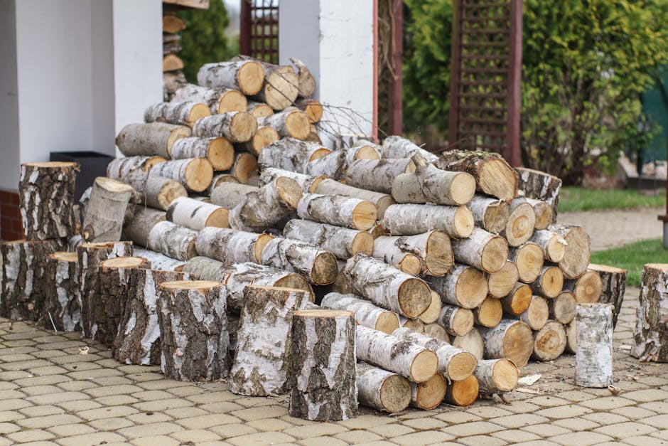 Consejos para decorar y organizar un patio pequeño