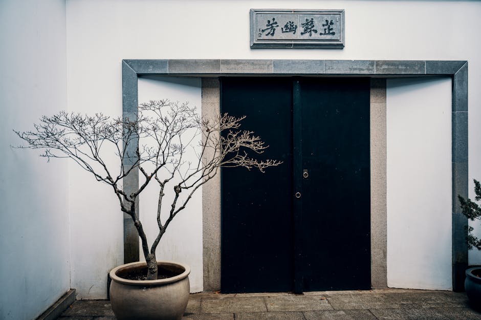 Inspiración en decoración minimalista para patios modernos